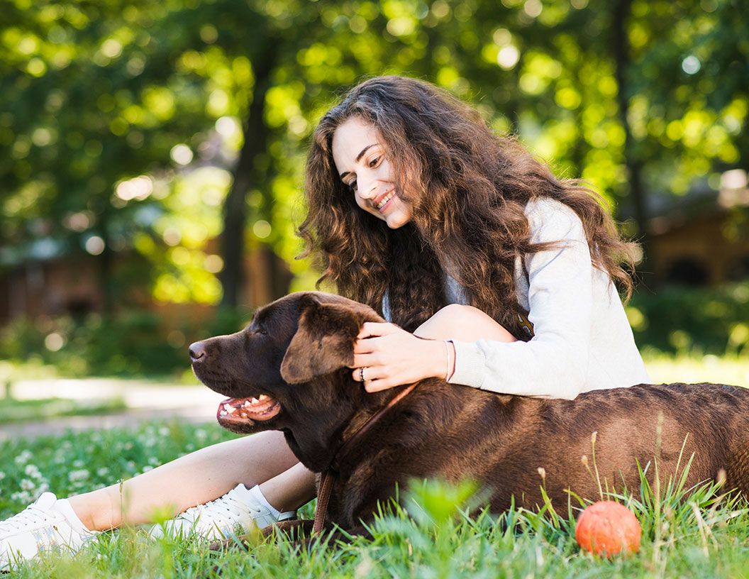 Blog post image: The Benefits of DeShedding for the Health and Well-being of Your Dog or Cat