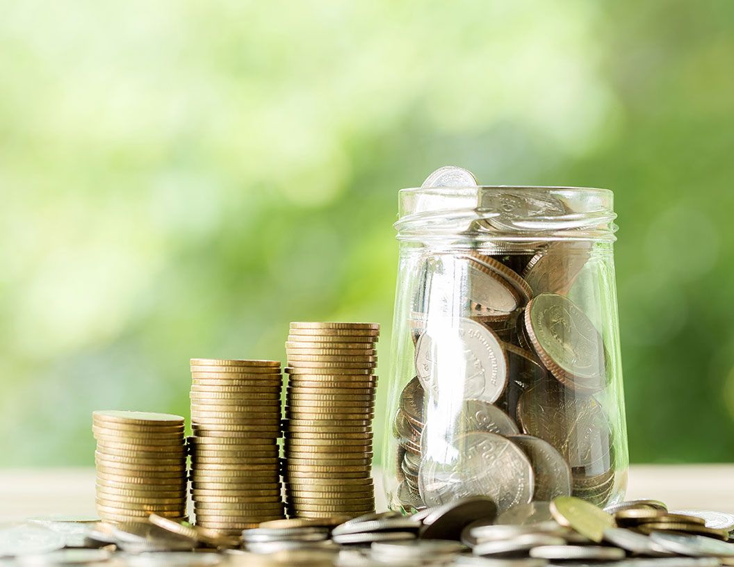 Blog post image: Long-Term Cost Savings For Dog and Cat DeShedding